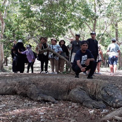 Komodo Island Day Tour
