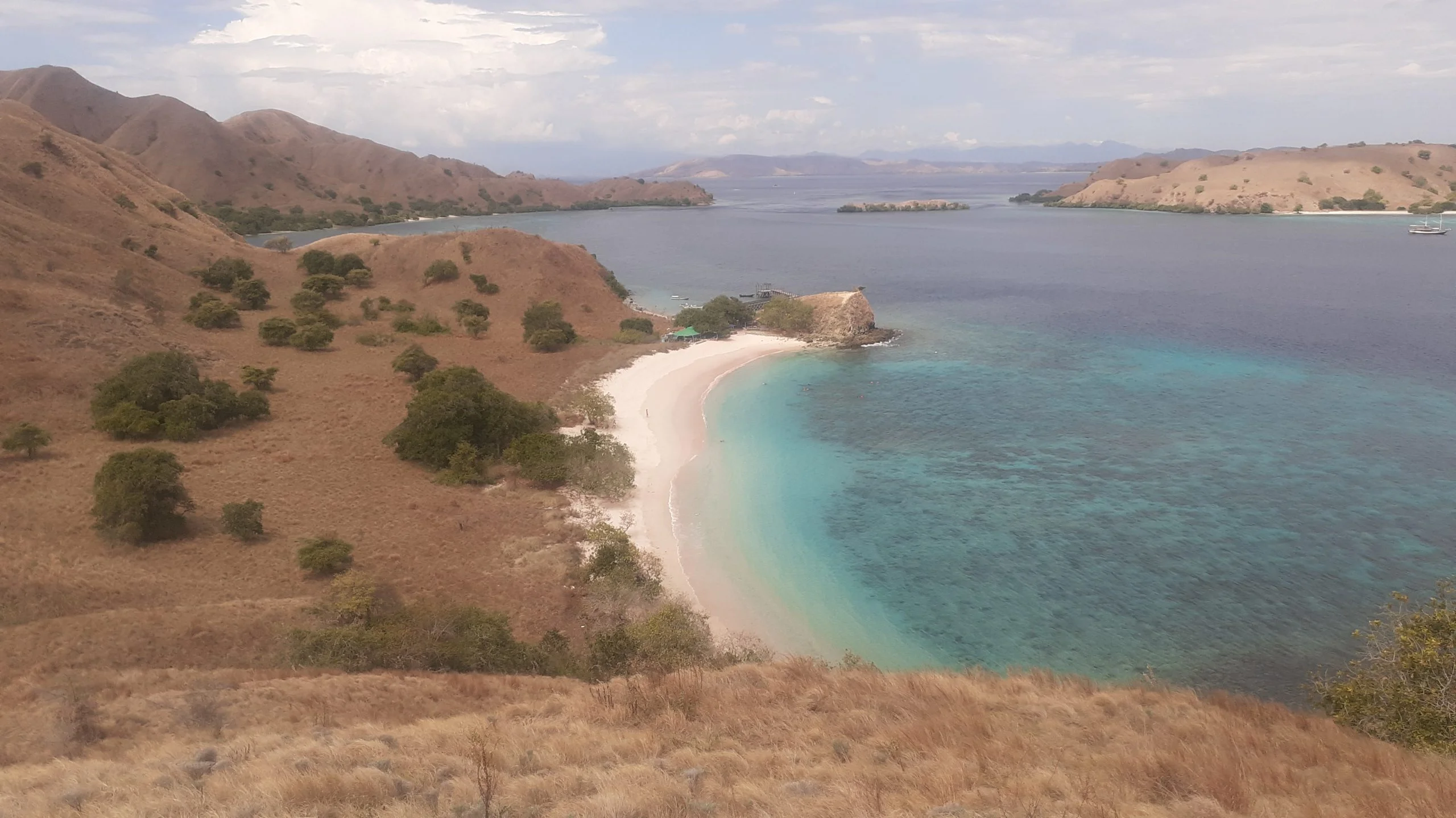 Komodo Island Day Trips